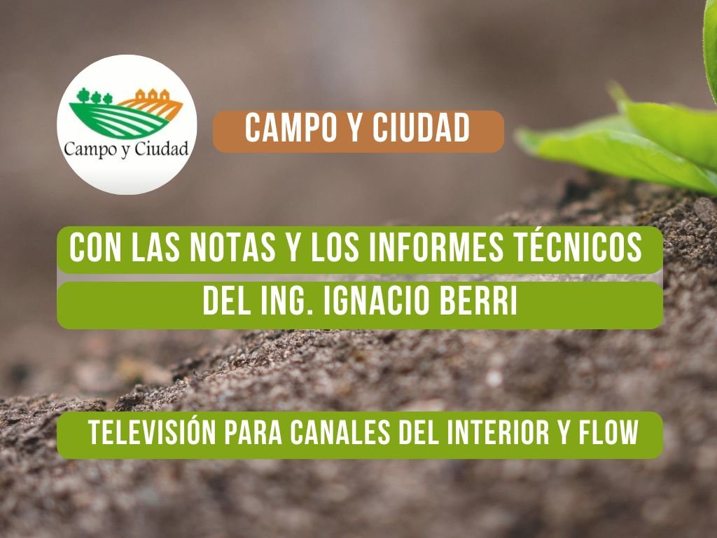 Imagen Noticia